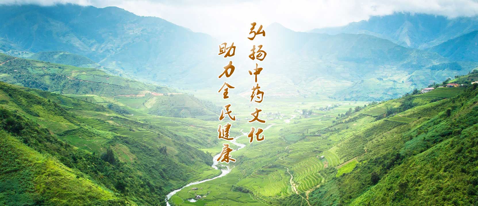 轮播图片一
