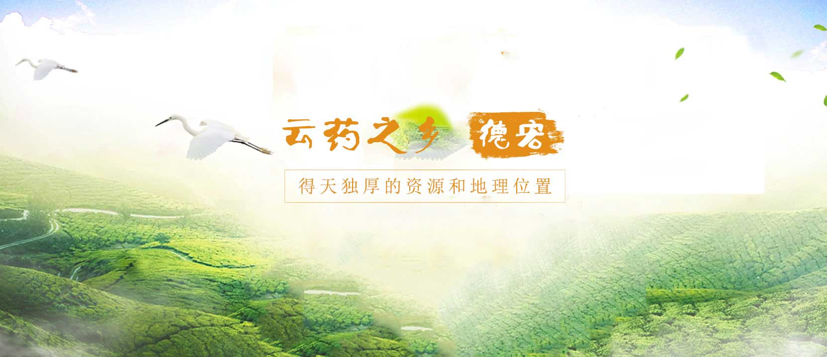 轮播图片二