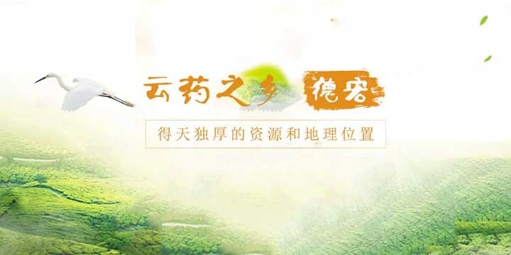 轮播图片二